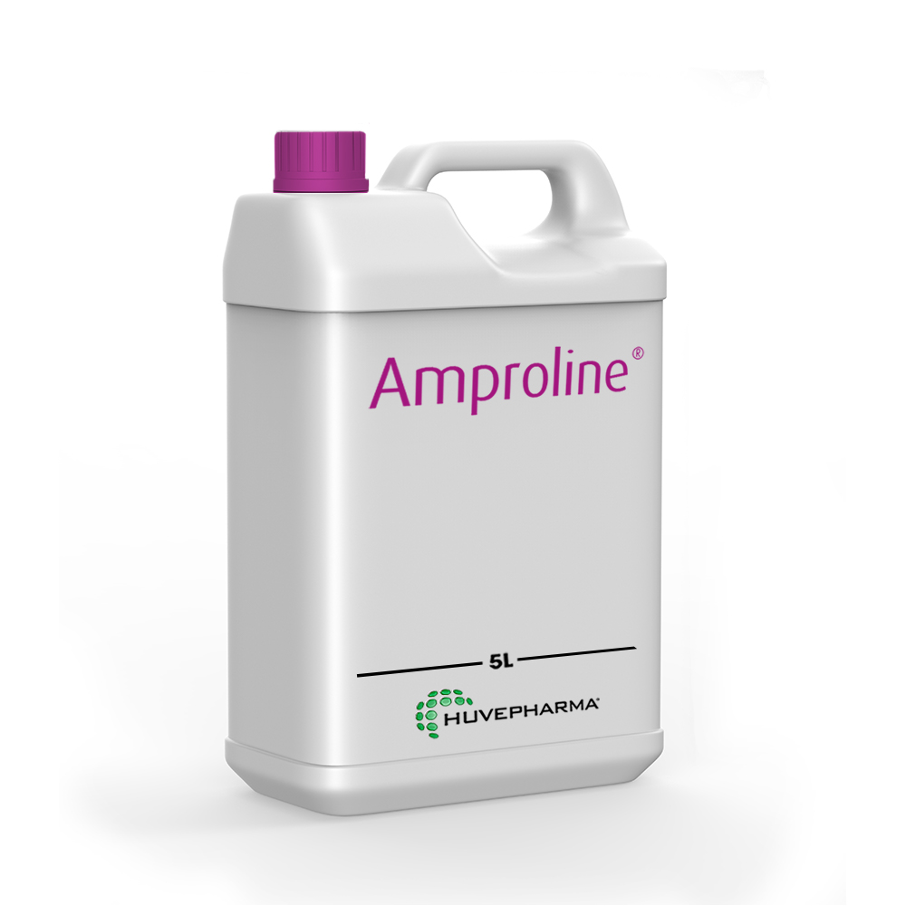Amproline Liquid